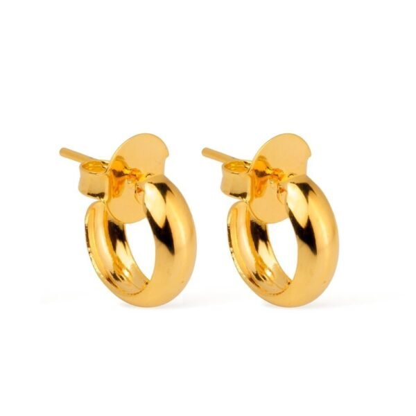 Brinco Argolinha 24k